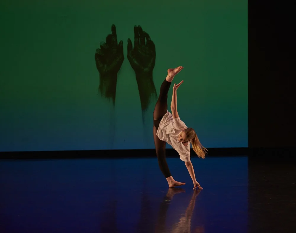 Ecadance 143 271 205 1.webp