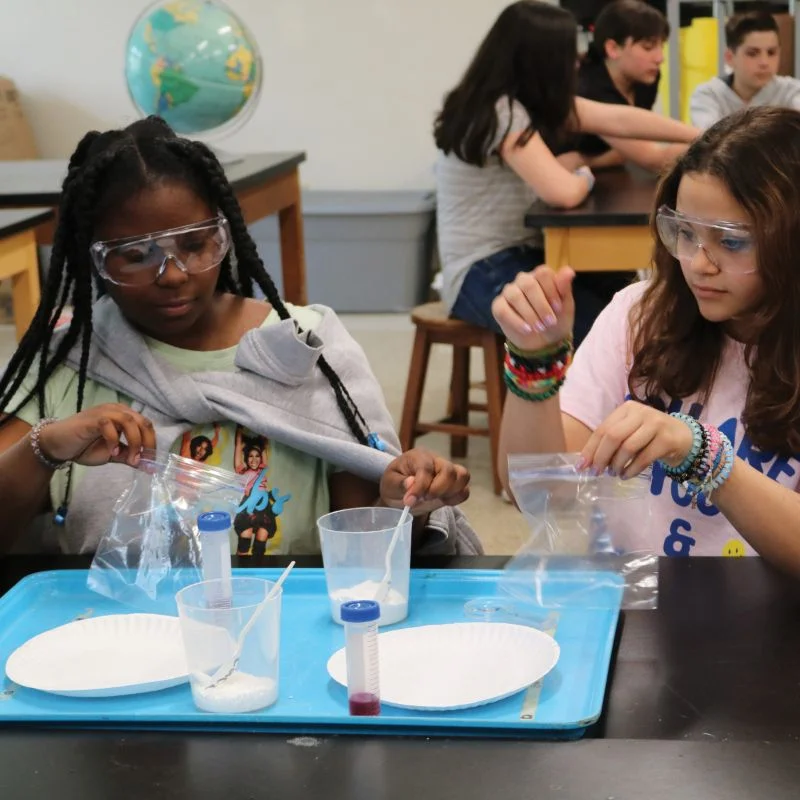 2 students in science class